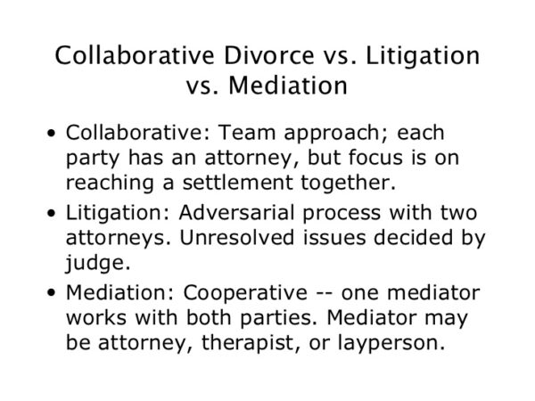 Then What?  Which divorce model is best for you?